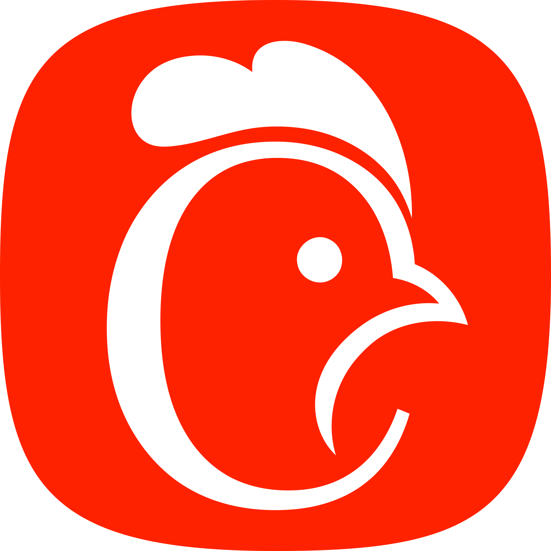 Chiken Image